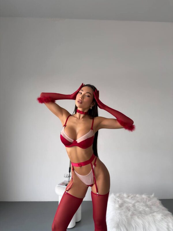 Scarlet Lingerie Set - Stockings & Gloves Included